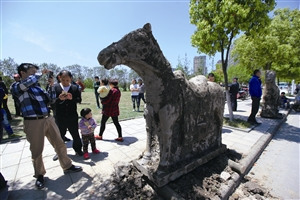 浙江古墓现“萌物”石刻墓主至少官居四品（图）